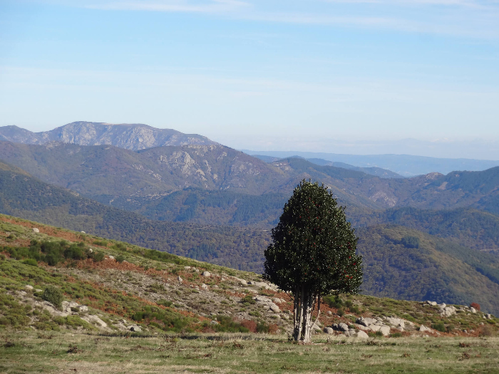 Photo de randonnée à Montselgues