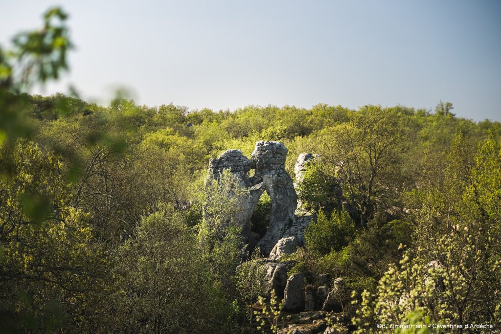 Photo de l'ours et du lion, Bois de Païolive