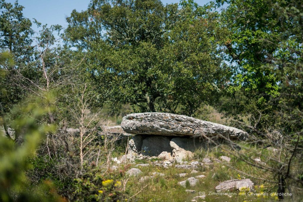 Photo d'un dolmen